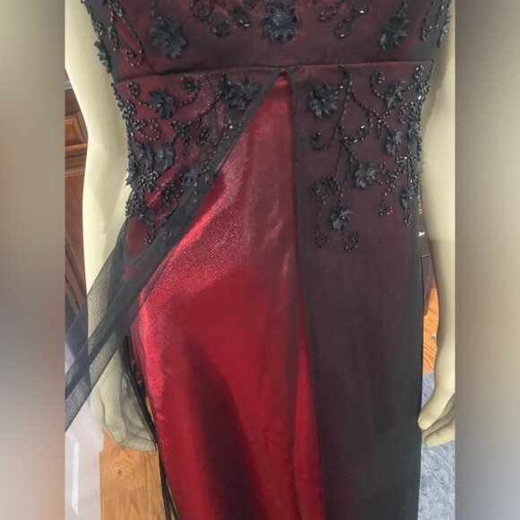 Caché Dress. Beautiful and very elegant dress/Size 4 - Picture 7 of 12